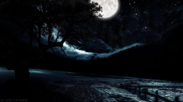 ночной лес с луной