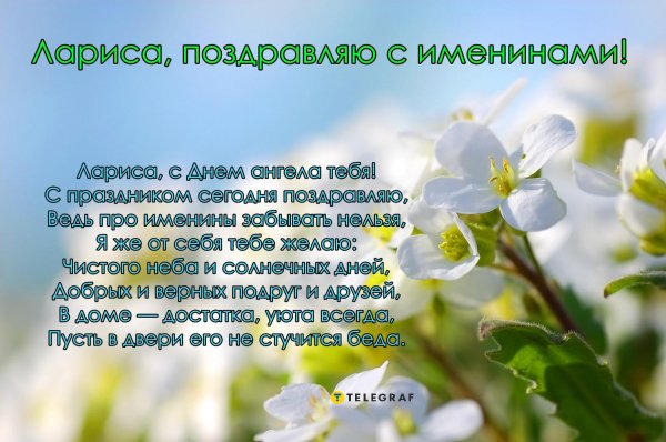 поздравление ларисе