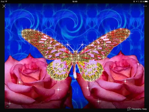 бабочка переливается