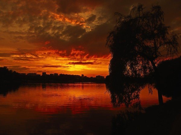 красные закаты