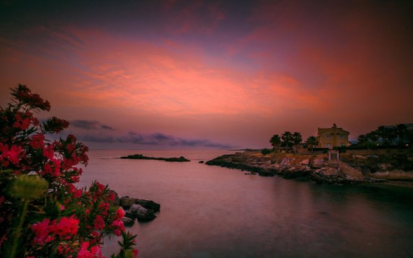 розовые закаты