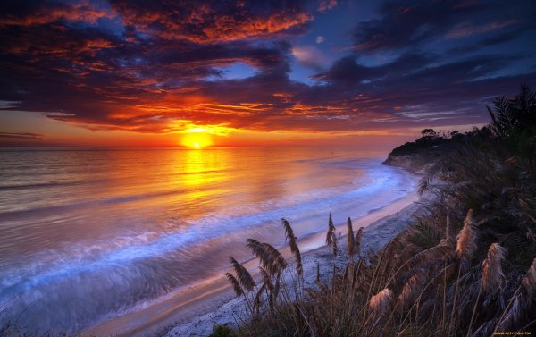 берег моря закат