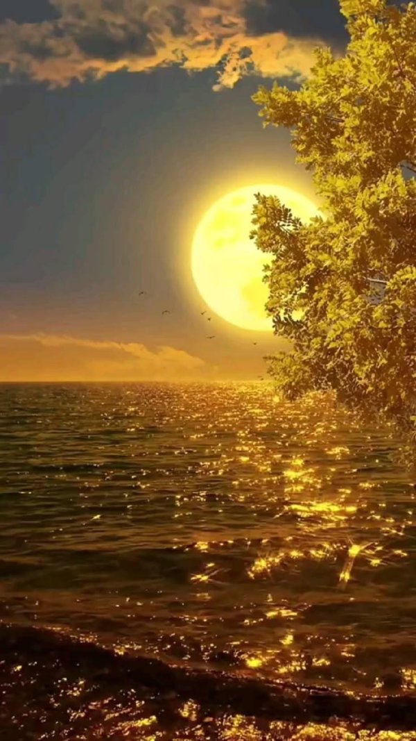 спокойная ночи