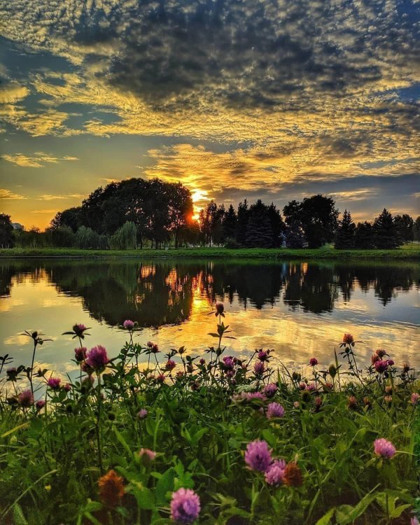 летнего вечера