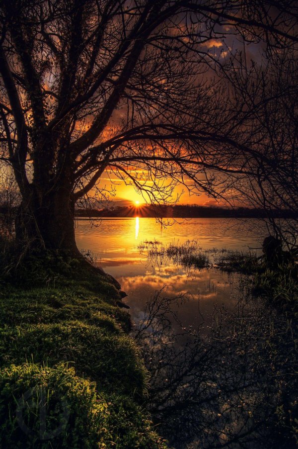 пейзажи красивые