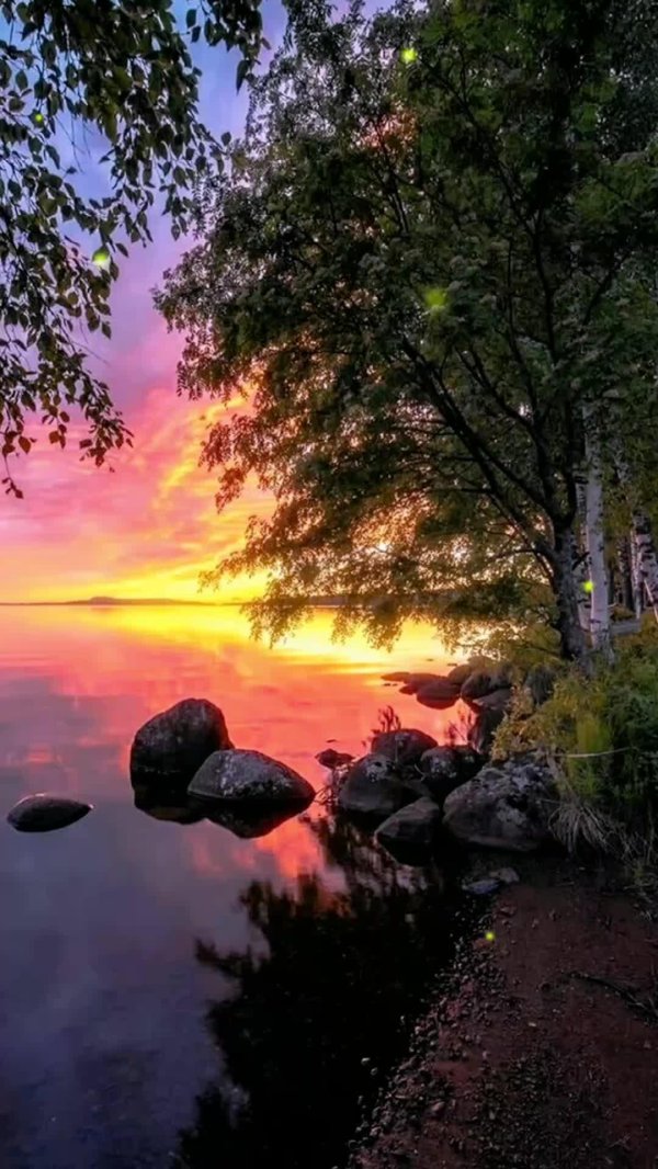 летнего вечера