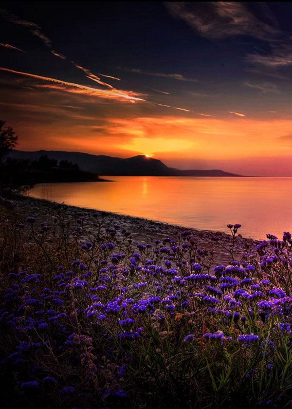 красивые рассветы