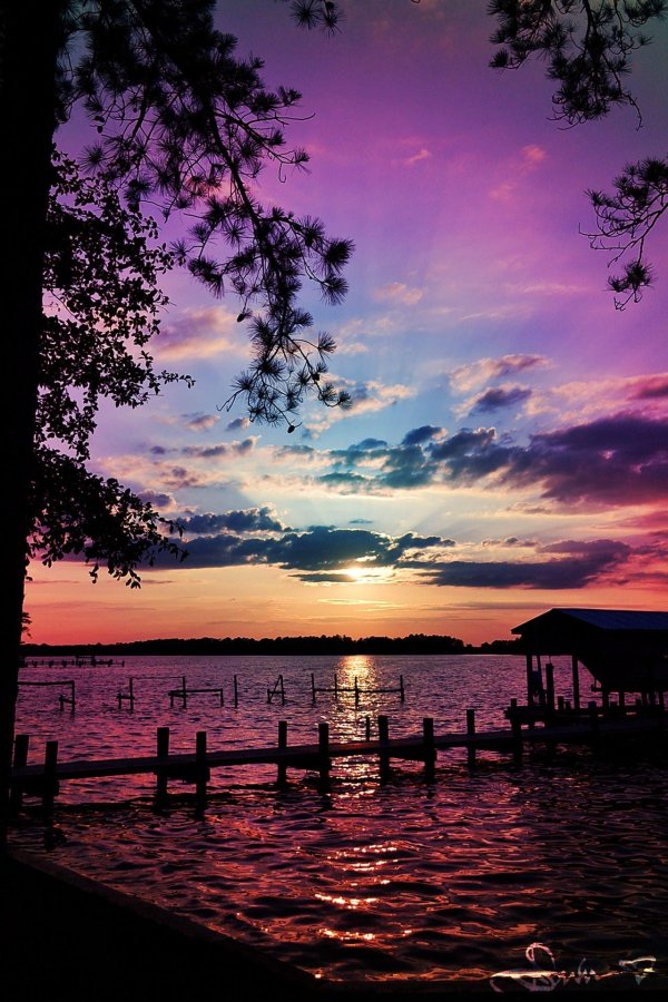 пейзажи красивые