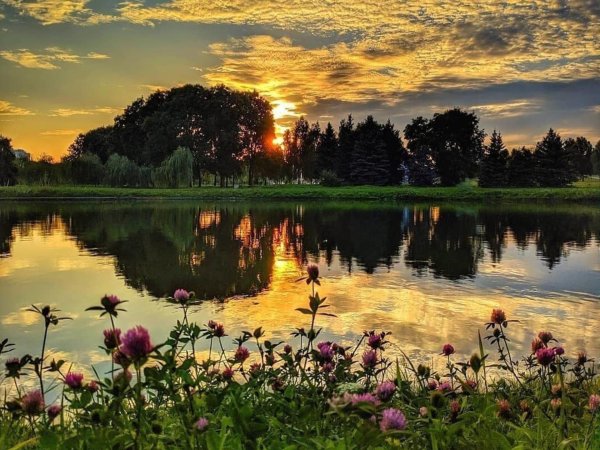 красивая природа