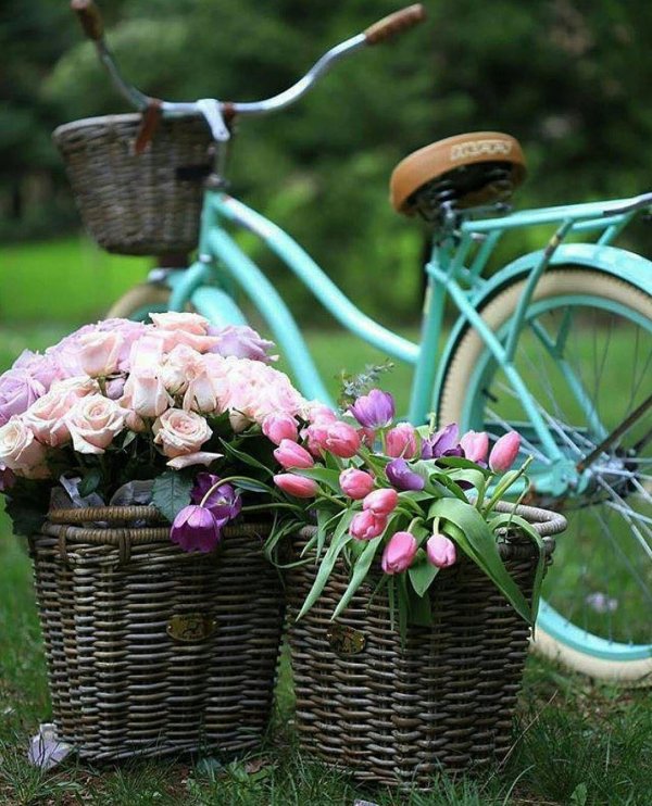 велосипед цветы