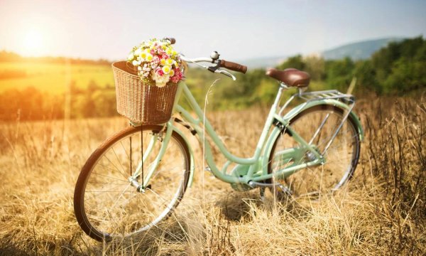 утро велосипед