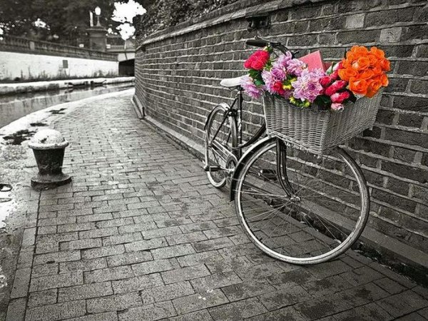 велосипед цветы