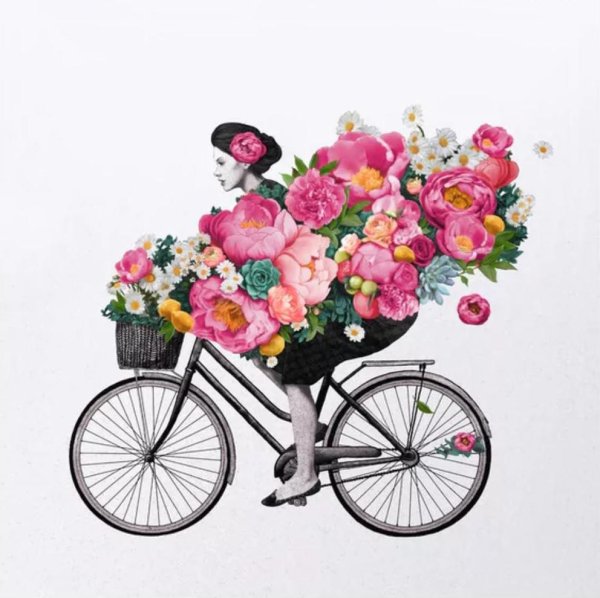 велосипед цветы