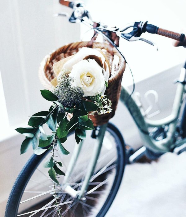 велосипед цветы
