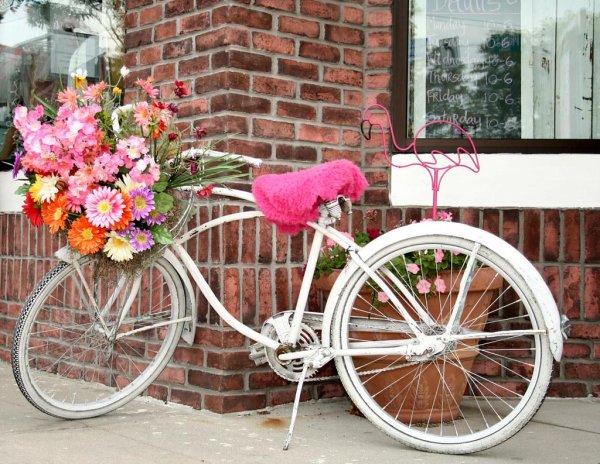 велосипед цветы