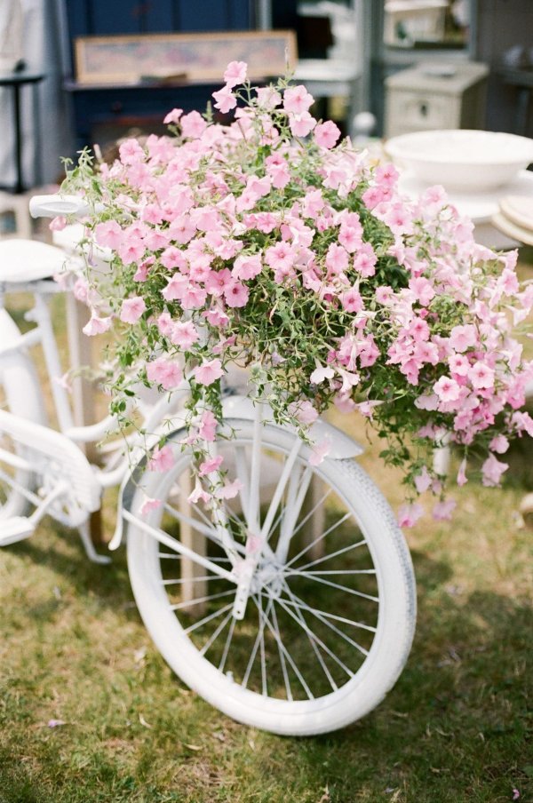 велосипед в саду