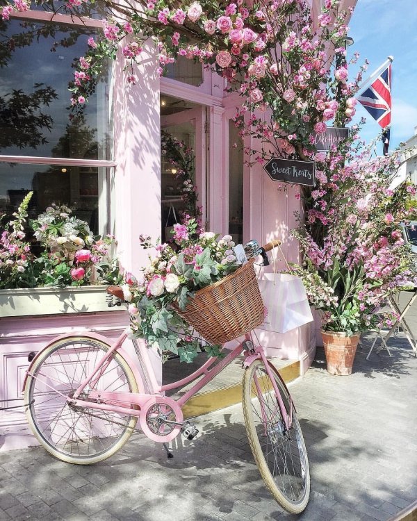 розовый велосипед