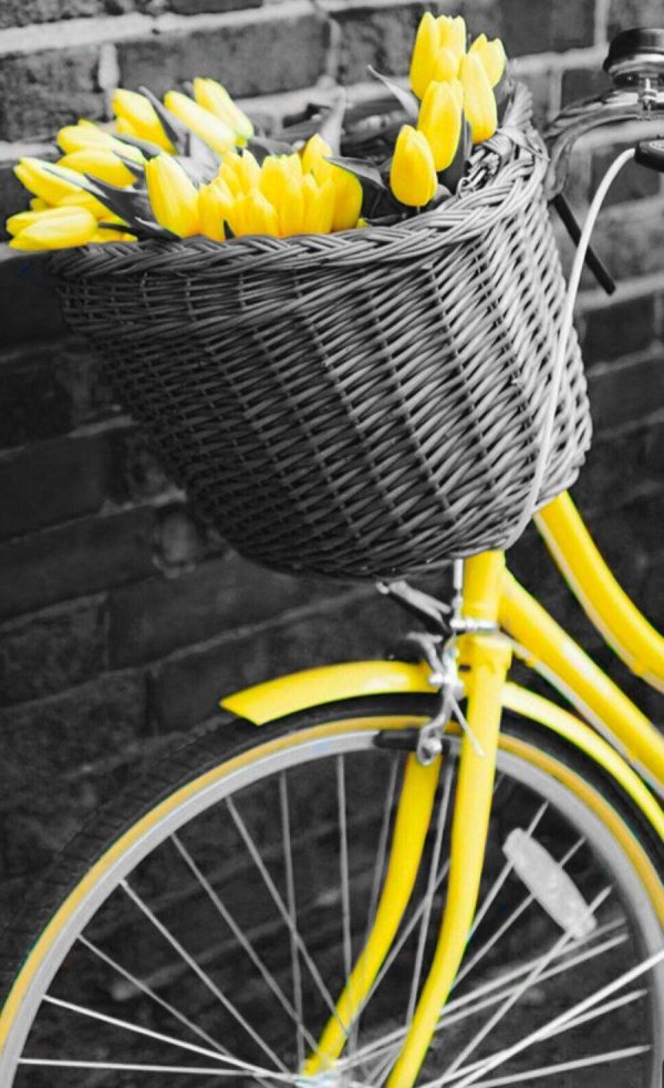 желтый велосипед