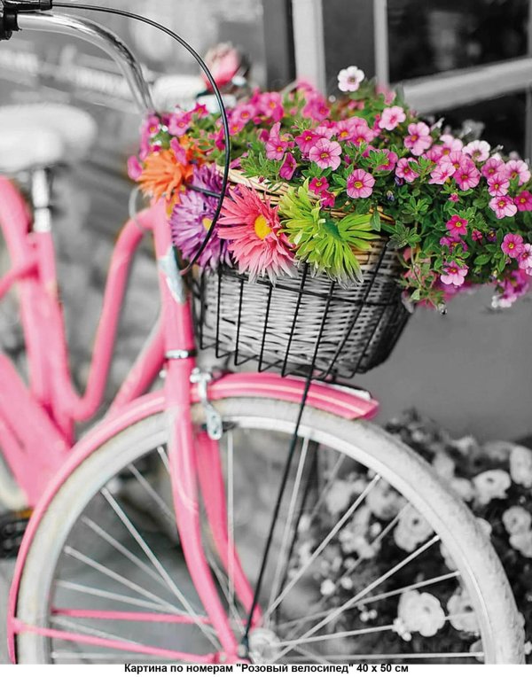 цветы на велосипеде