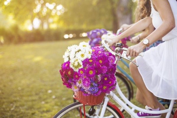 девушка на велосипеде