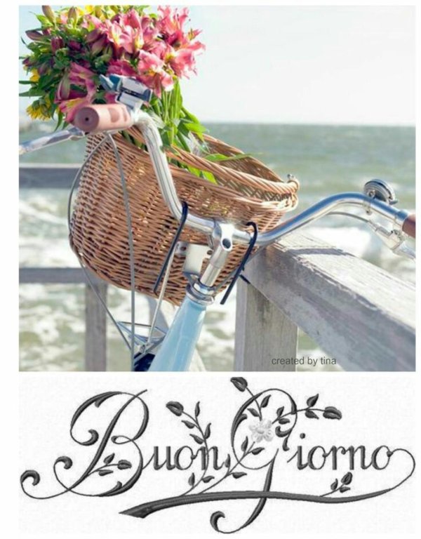 доброе утро велосипед