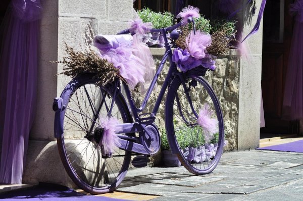 велосипед фиолетовый