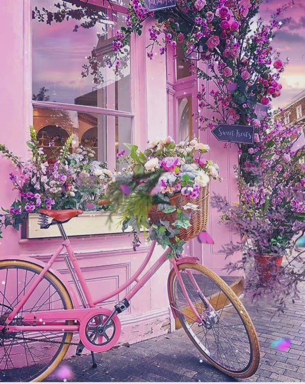 розовый велосипед