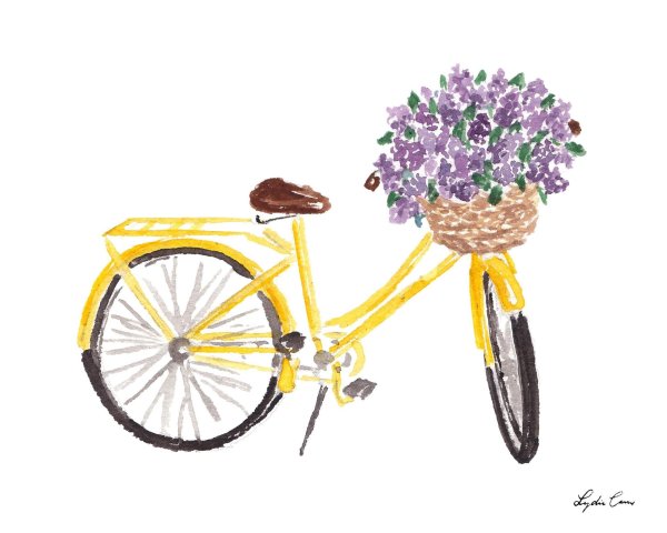 велосипед рисунки