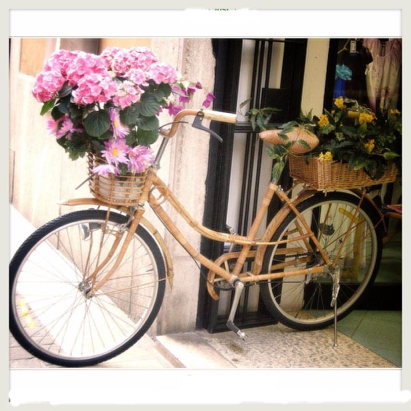 цветочный велосипед