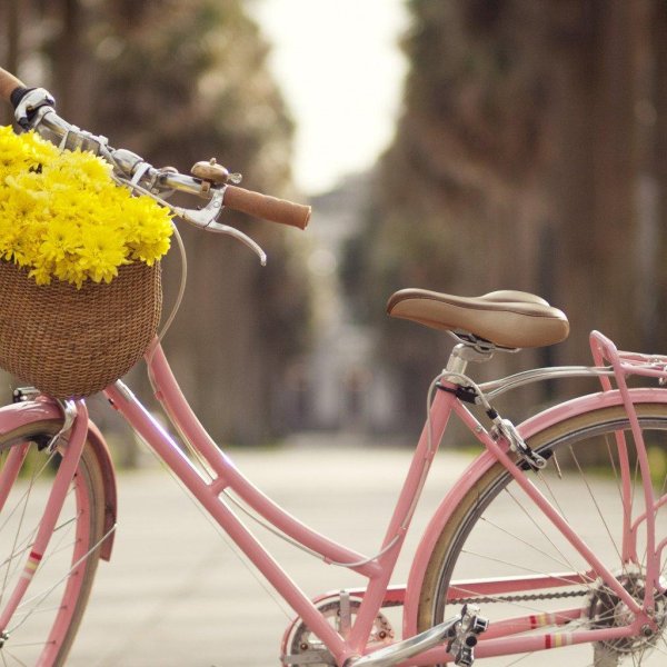 Велосипед с цветами