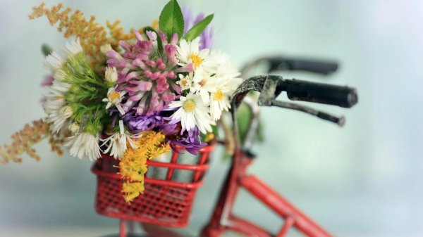 велосипед в поле