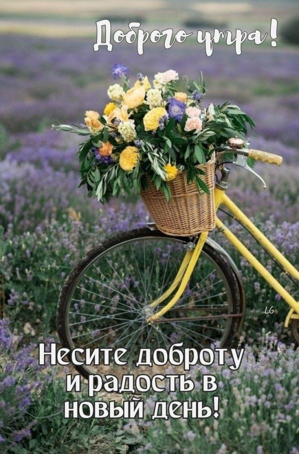 красивые велосипеды