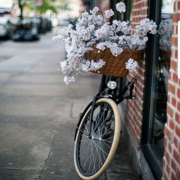 велосипед красивый