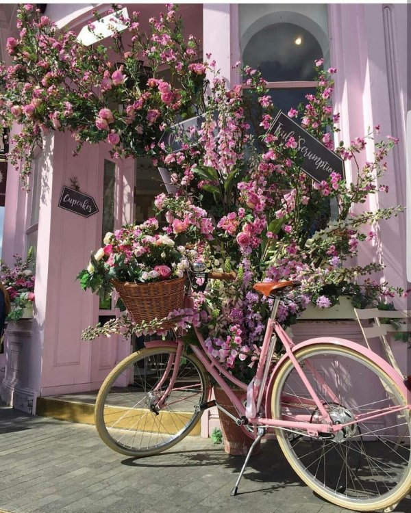 розовый велосипед