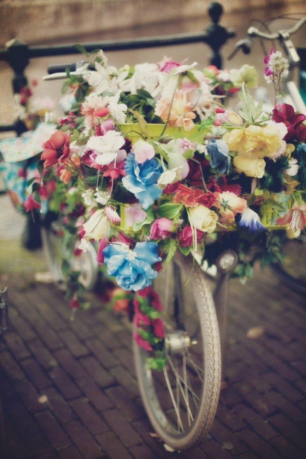цветочный велосипед