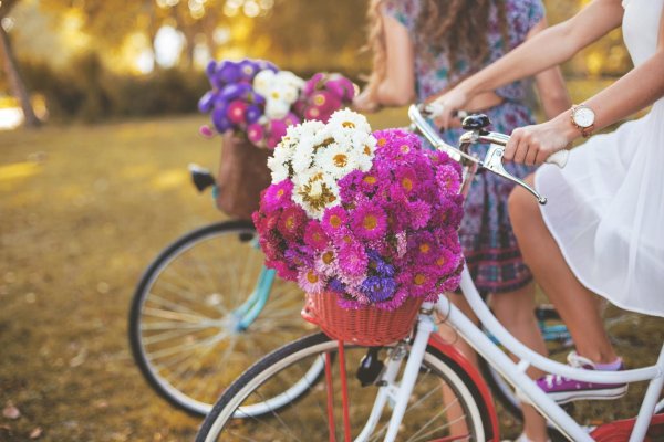 девушка на велосипеде