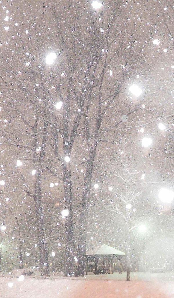 красивый снегопад