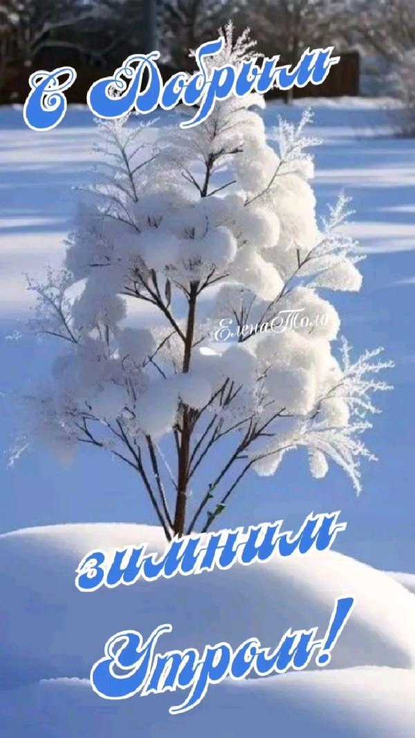 доброго утра зимнего