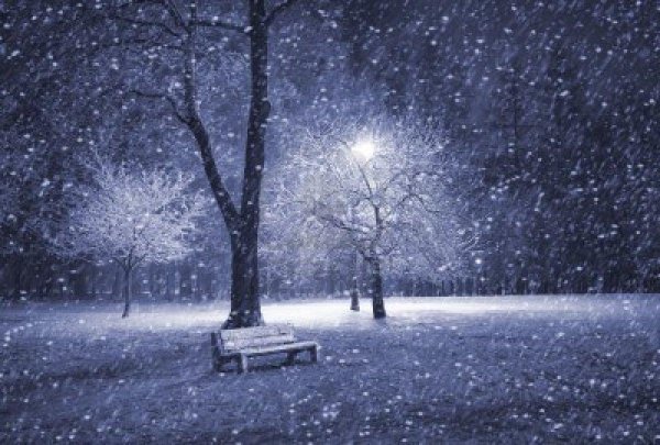 зимний парк ночью