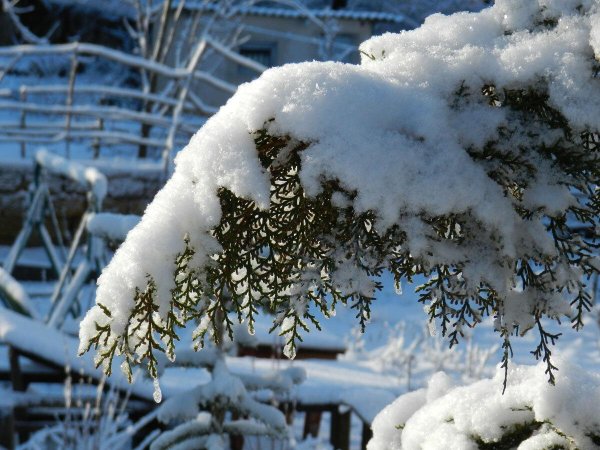 зимние пейзаж