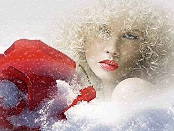 замерзшая роза