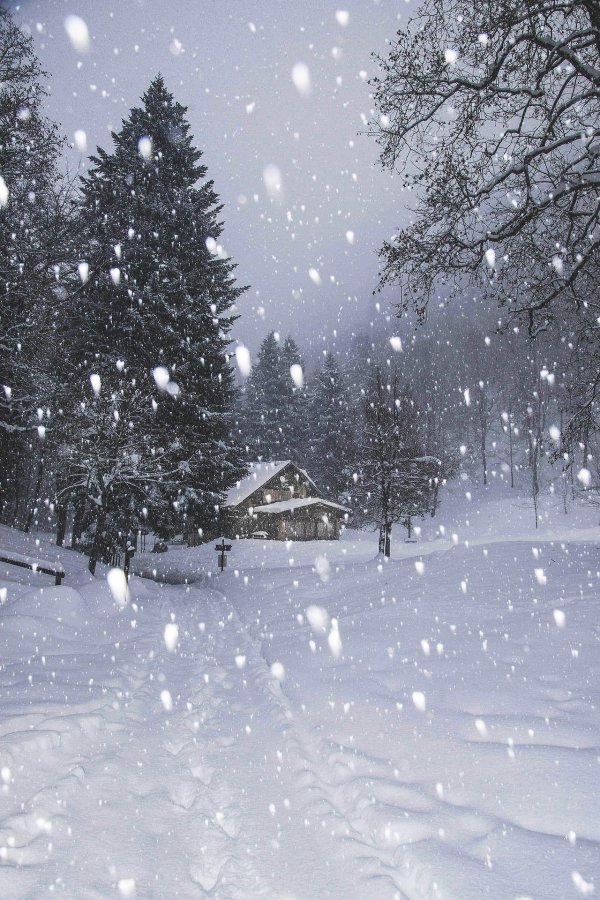 зимнего вечера