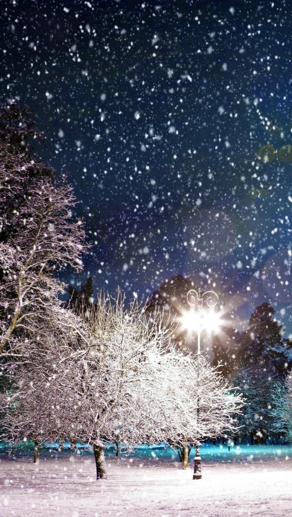 красивый снегопад