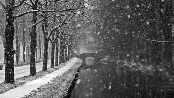 черно белая зима