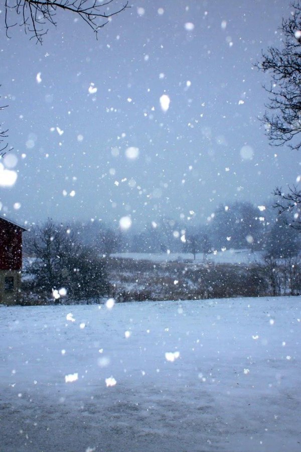 падает снег