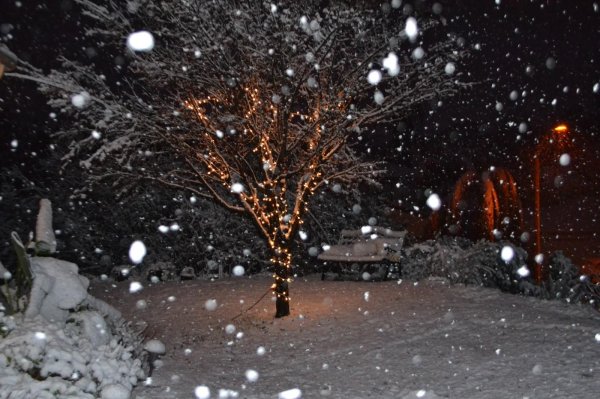 красивый снегопад