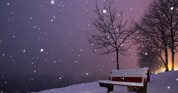 снегопад ночью в лесу