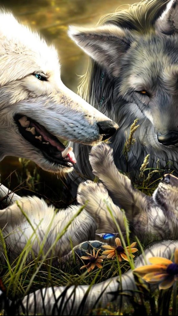 волчья семья