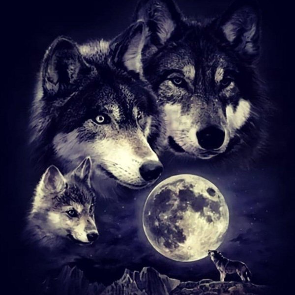 волки картина