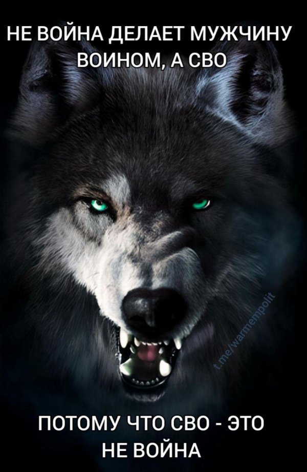 крутой волк